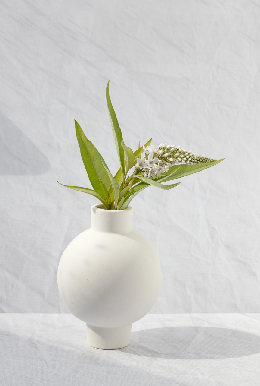 vase, blume, blüte, sommer, stillleben, weiß, grün, schatten, licht, hintergrund, hintergrundbild, minimalismus, poster, karte, postkarte, mobile wallpaper, elegant